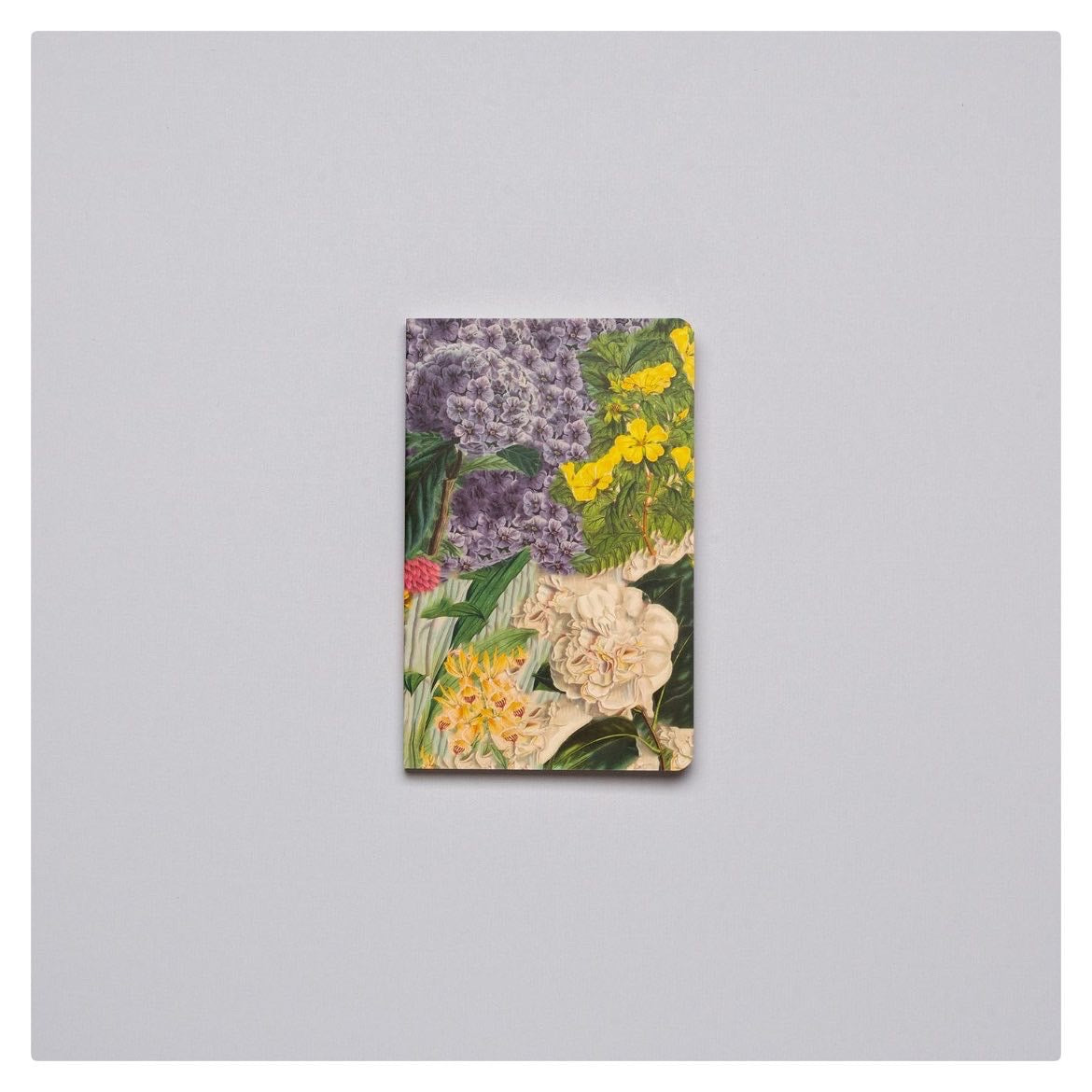 Packs Libretas Multiflora