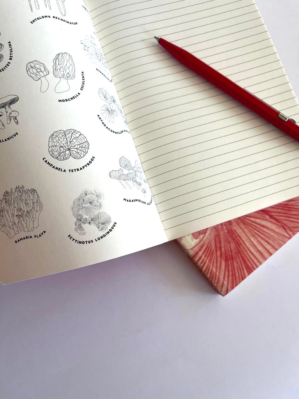 Libreta Mediana Manto Fungi