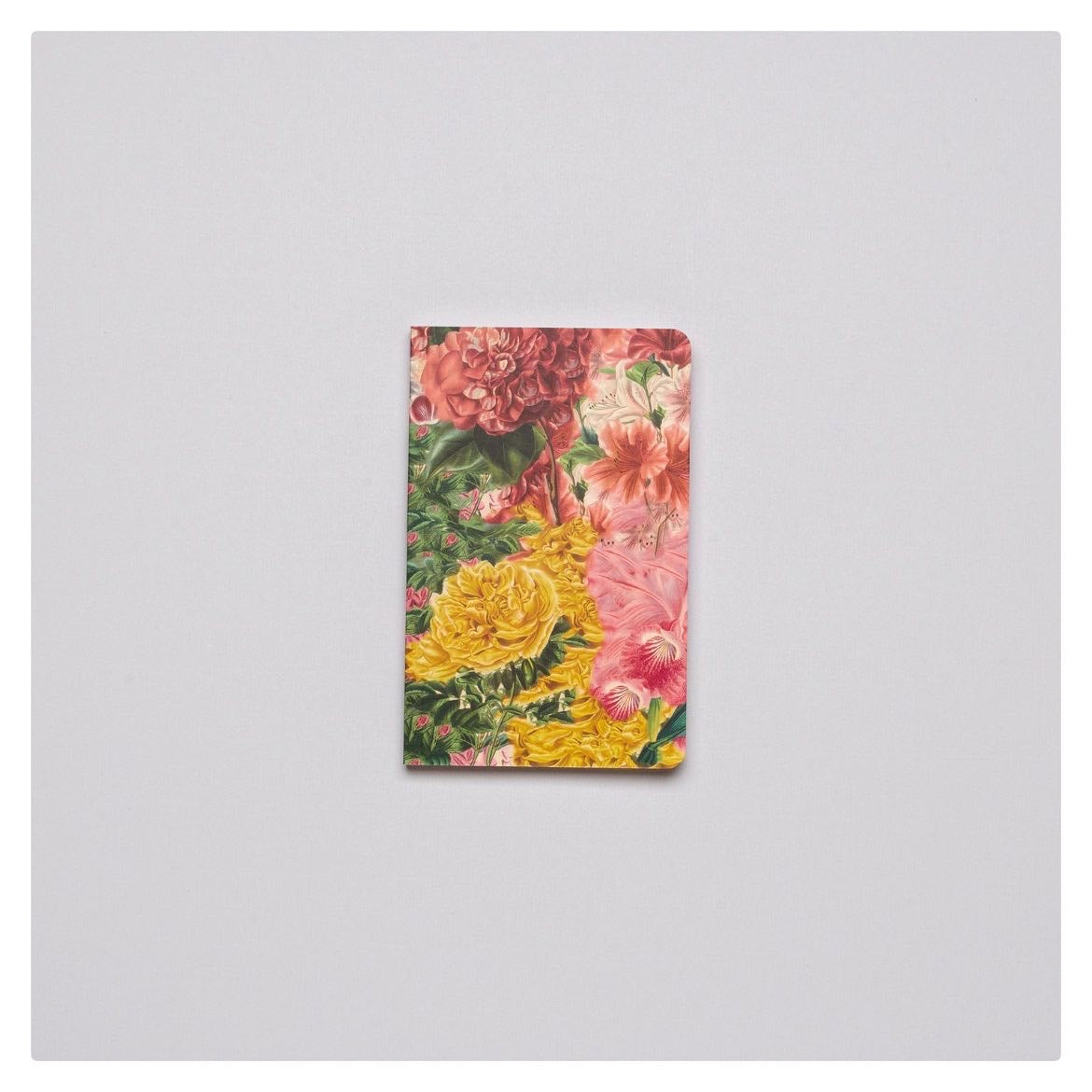 Packs Libretas Multiflora