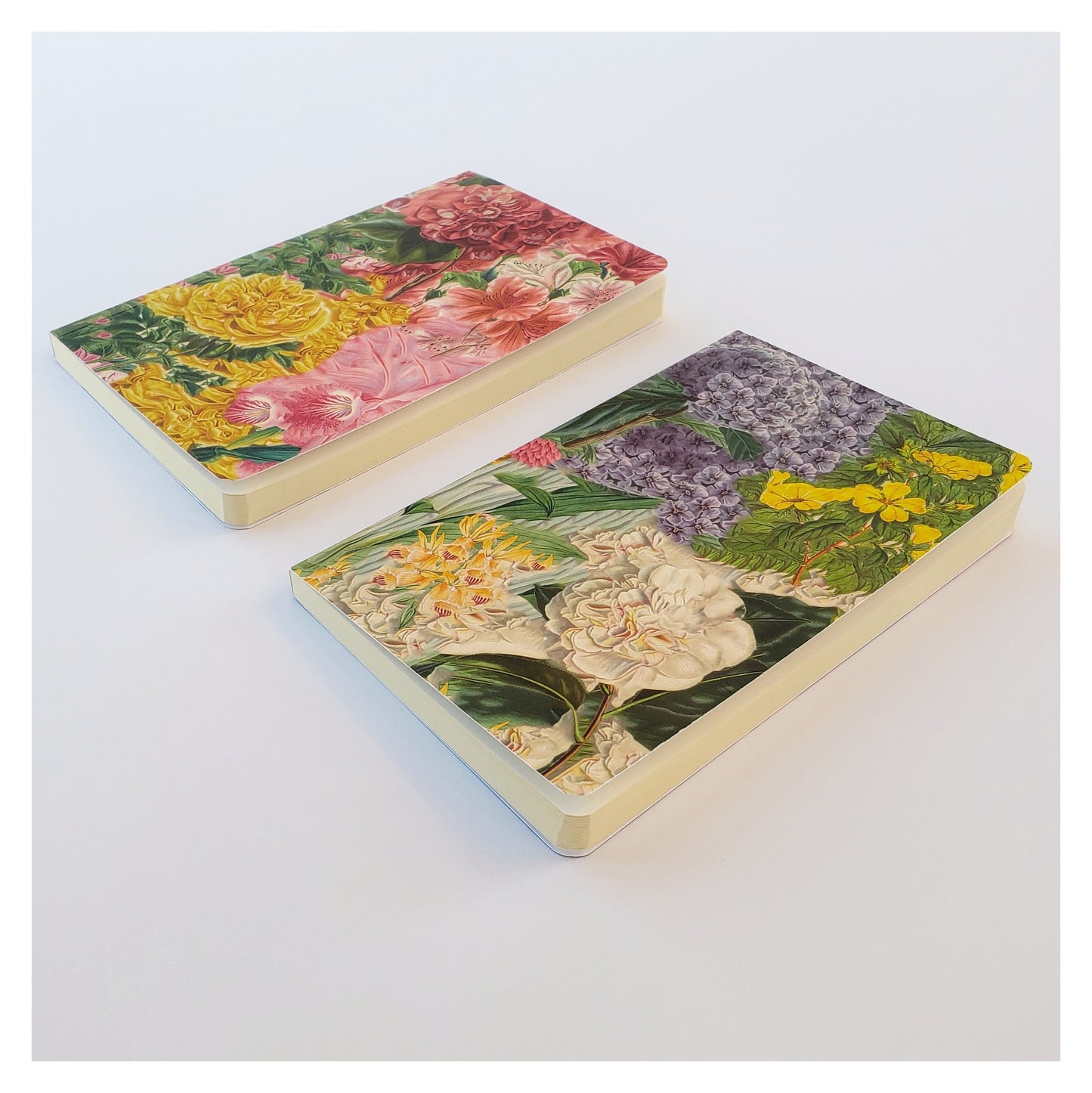 Packs Libretas Multiflora