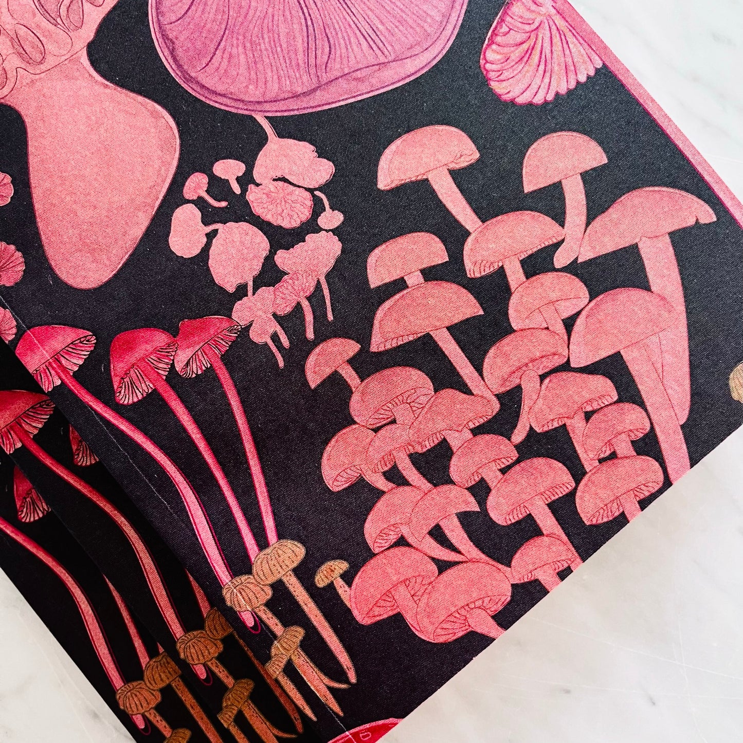 Libreta El Reino Fungi II