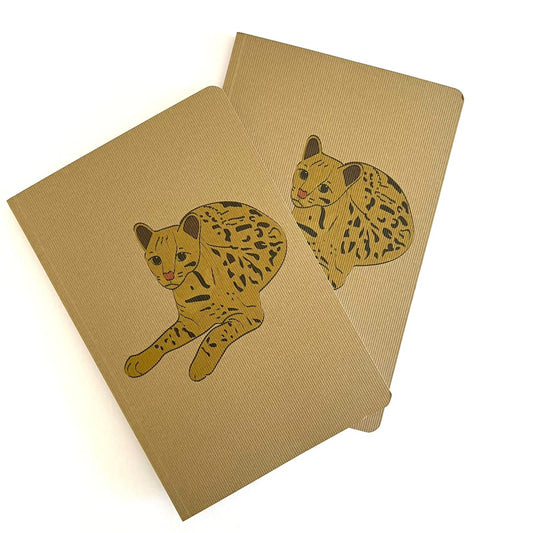 Libreta Grande Gato Güiña