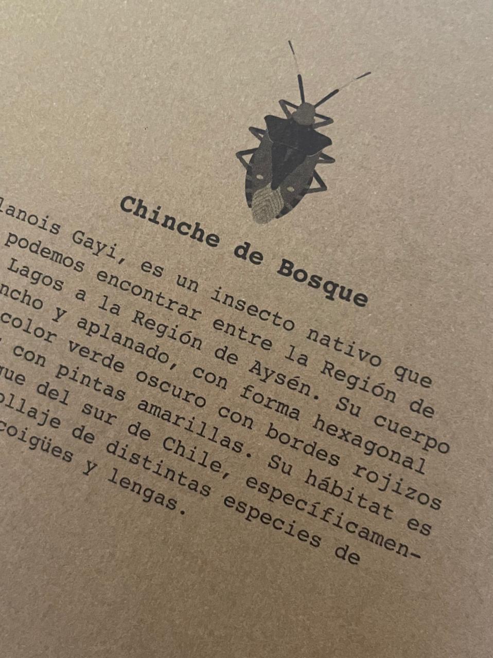 Libreta Chinche
