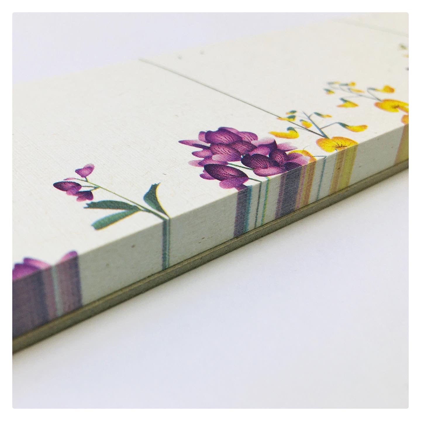 Planificador Alfalfa Paramilla