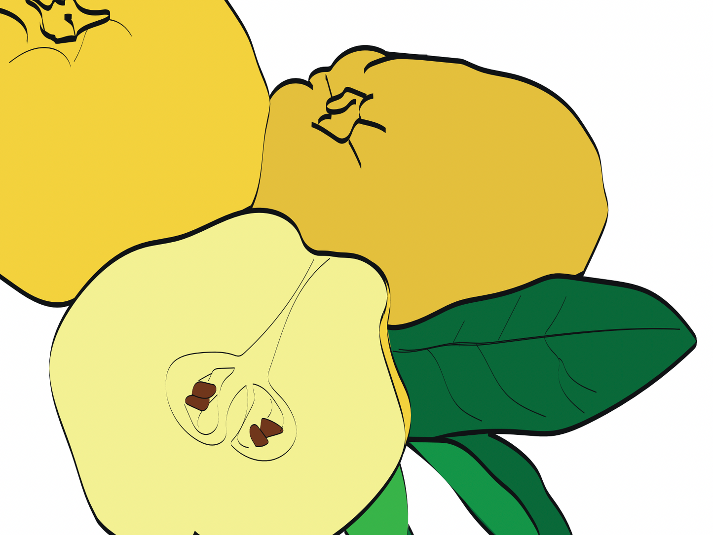 Individuales Frutas
