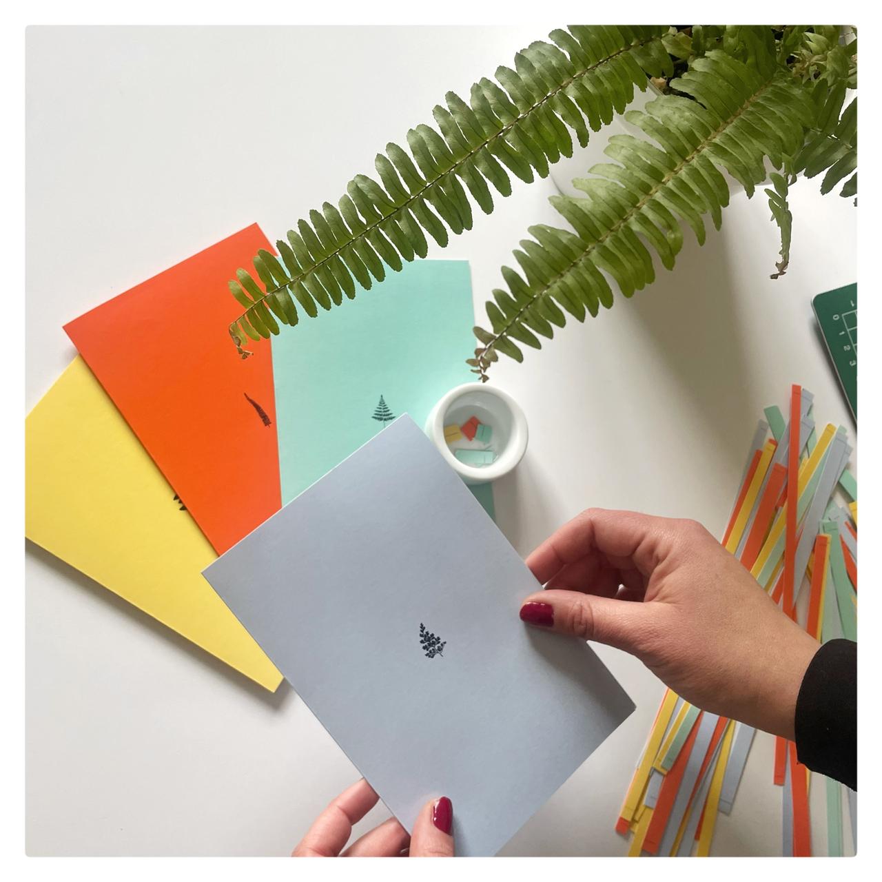 Tarjetones Bosque Valdiviano