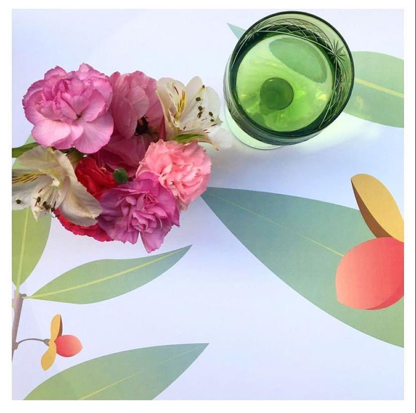 Individuales Flora Nativa