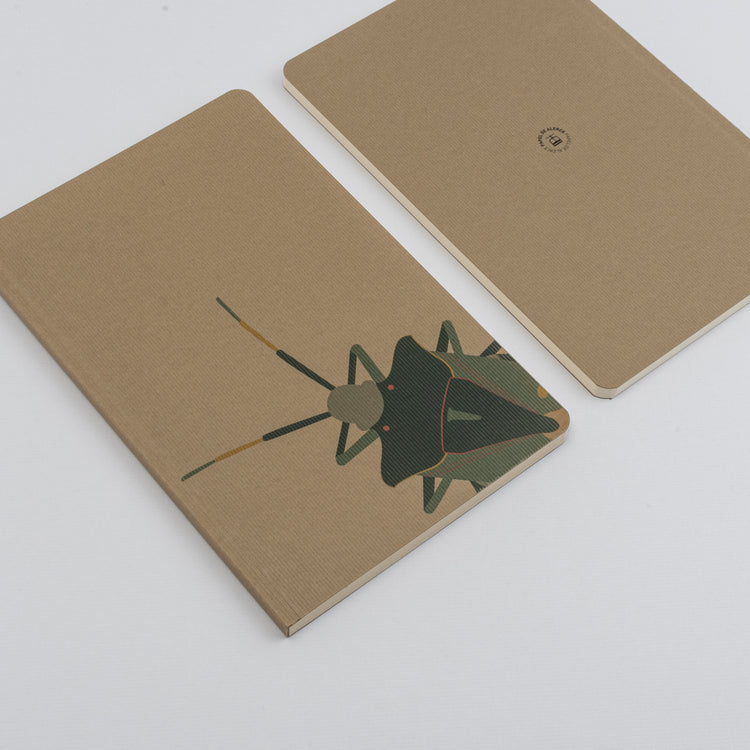 Libreta Insectos