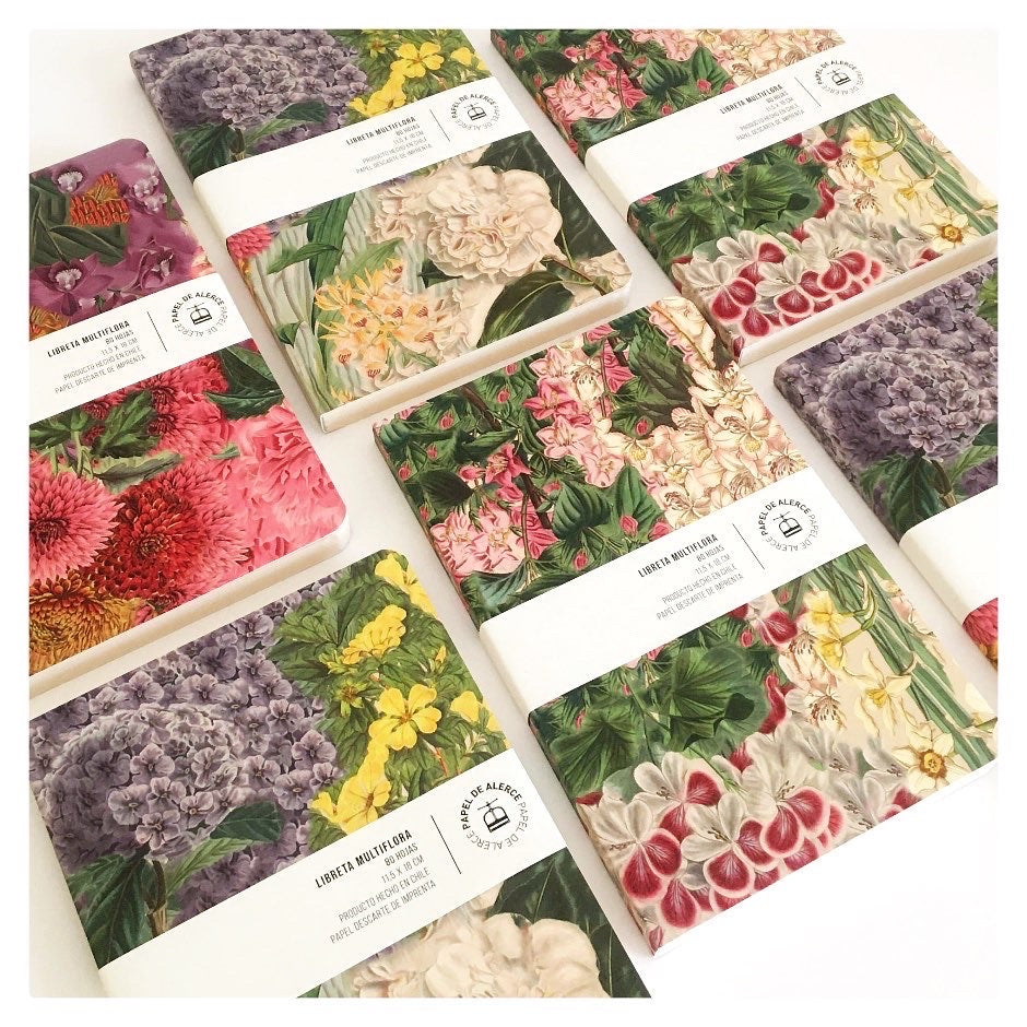 Packs Libretas Multiflora