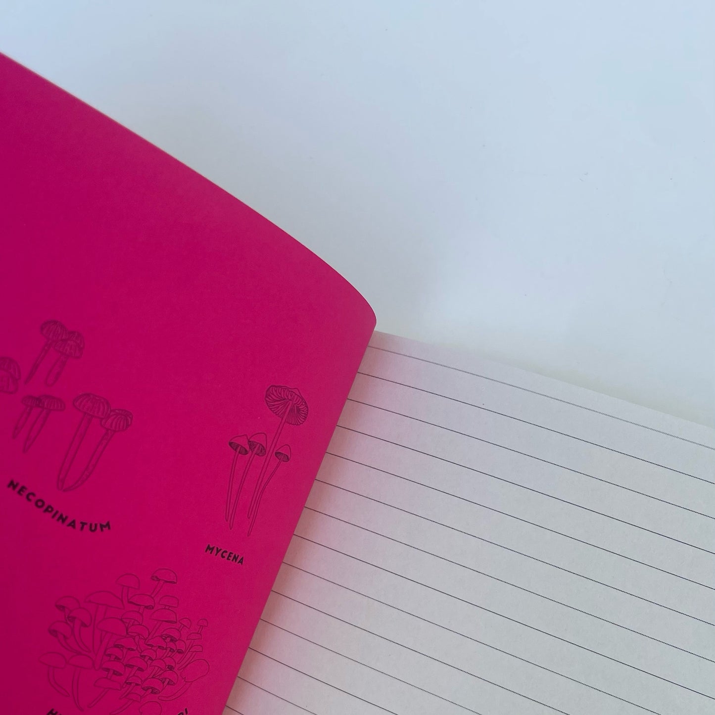 Libreta Manto Fungi