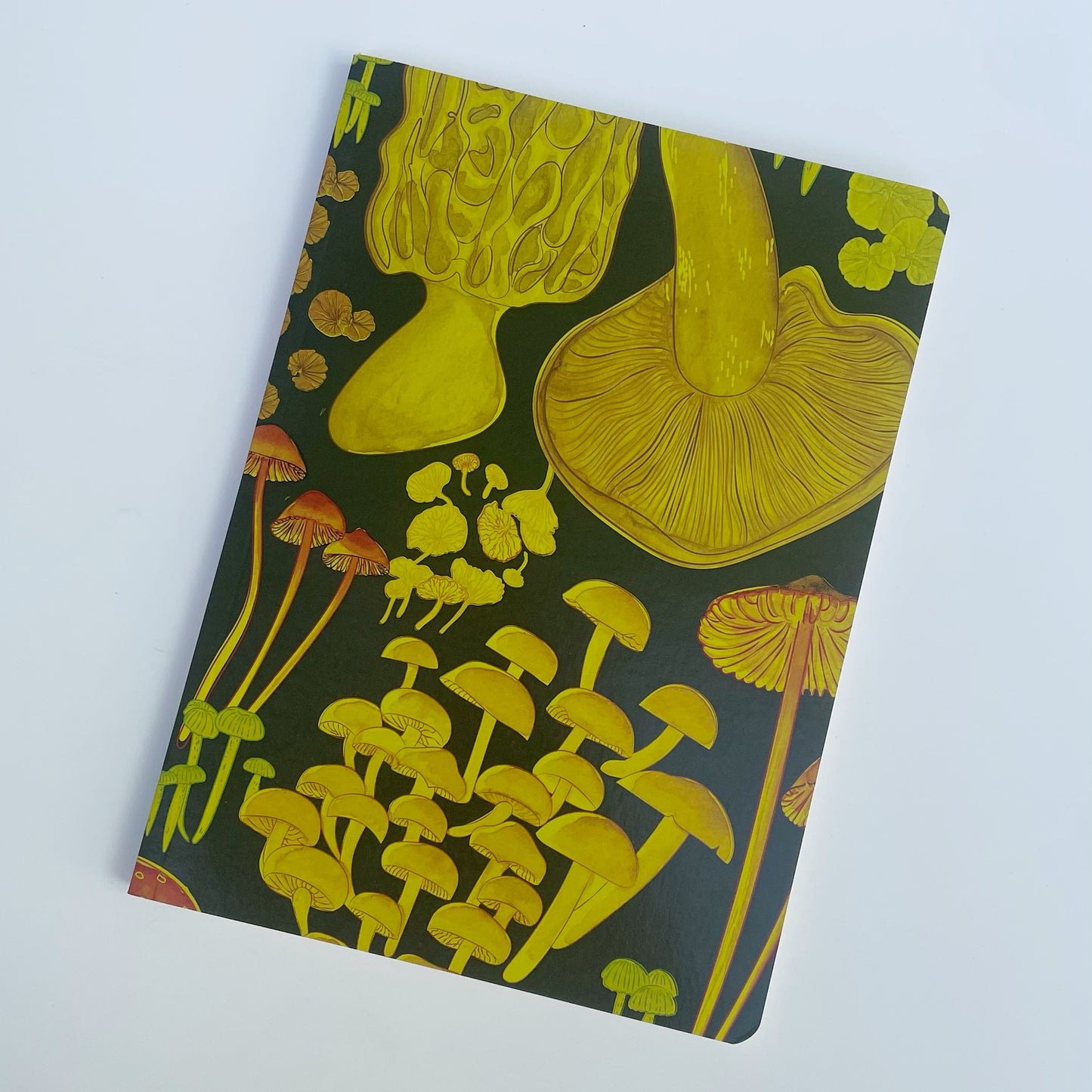 Libreta El Reino Fungi