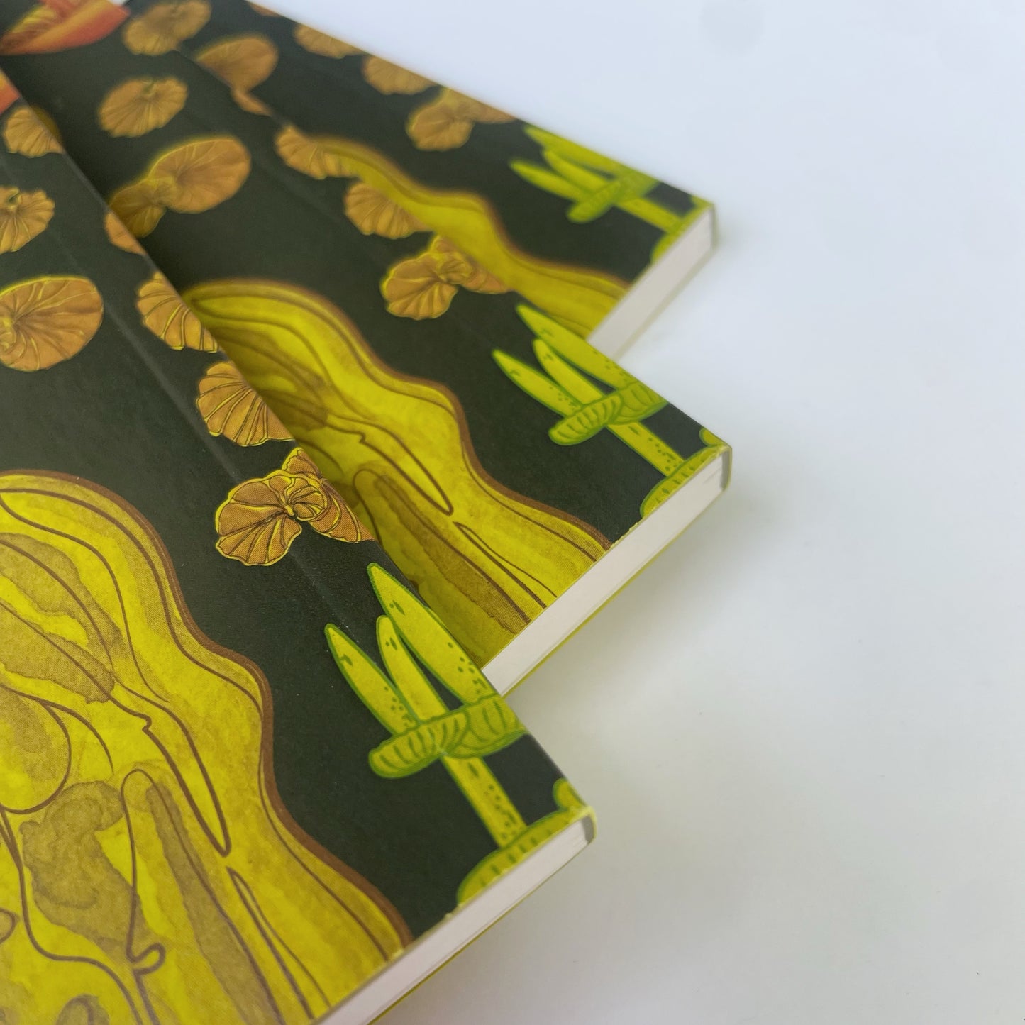 Libreta El Reino Fungi