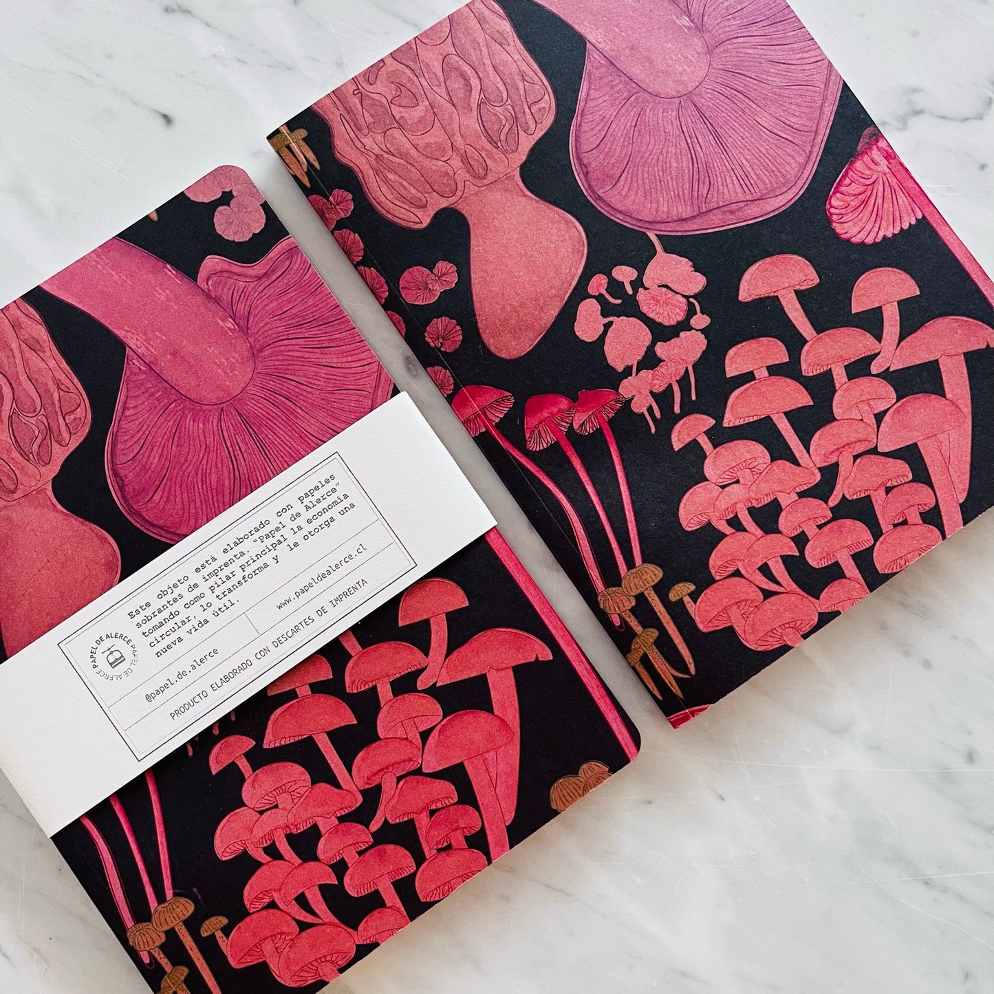 Libreta El Reino Fungi II