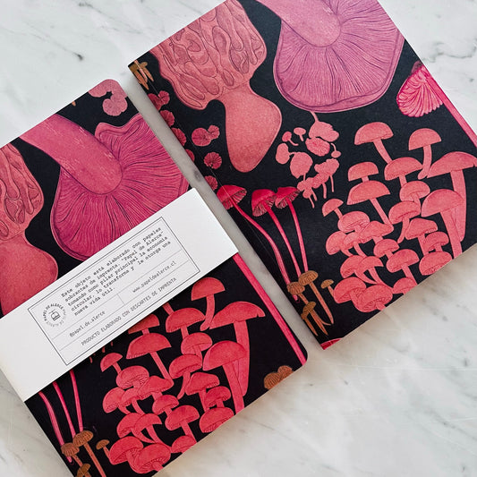 Libreta El Reino Fungi II