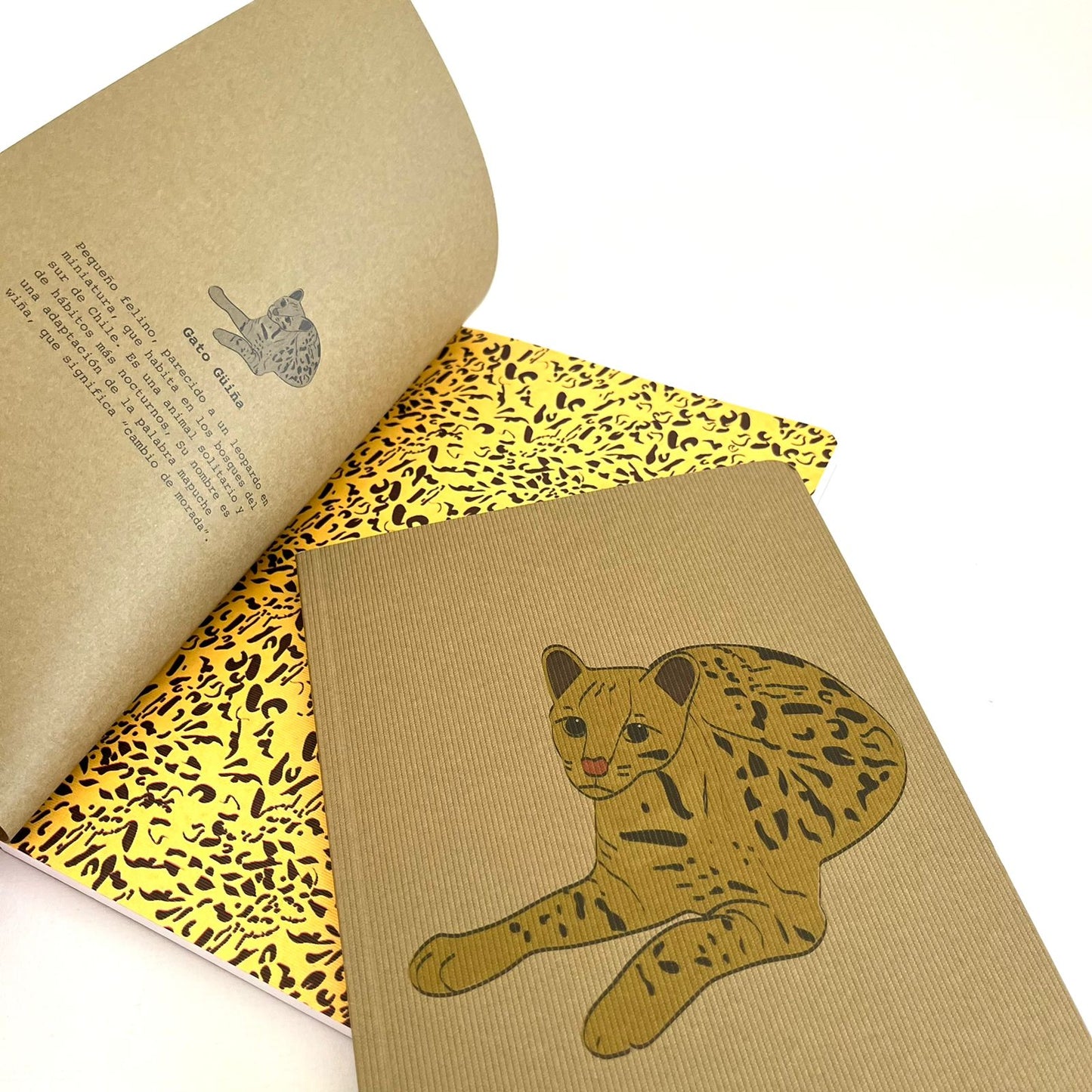 Libreta Grande Gato Güiña