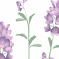 Individuales Flora Nativa