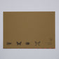 Block Papeles de Regalo Insectos Nativos